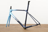 M/L Giant TCR Advanced SL ISP Carbon Rim Brake Road Frameset *Custom Paint*