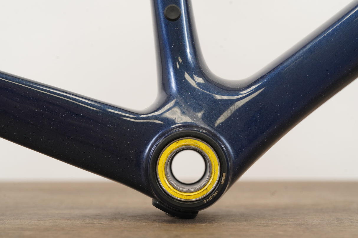 M/L Giant TCR Advanced SL ISP Carbon Rim Brake Road Frameset *Custom Paint*