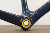 M/L Giant TCR Advanced SL ISP Carbon Rim Brake Road Frameset *Custom Paint*