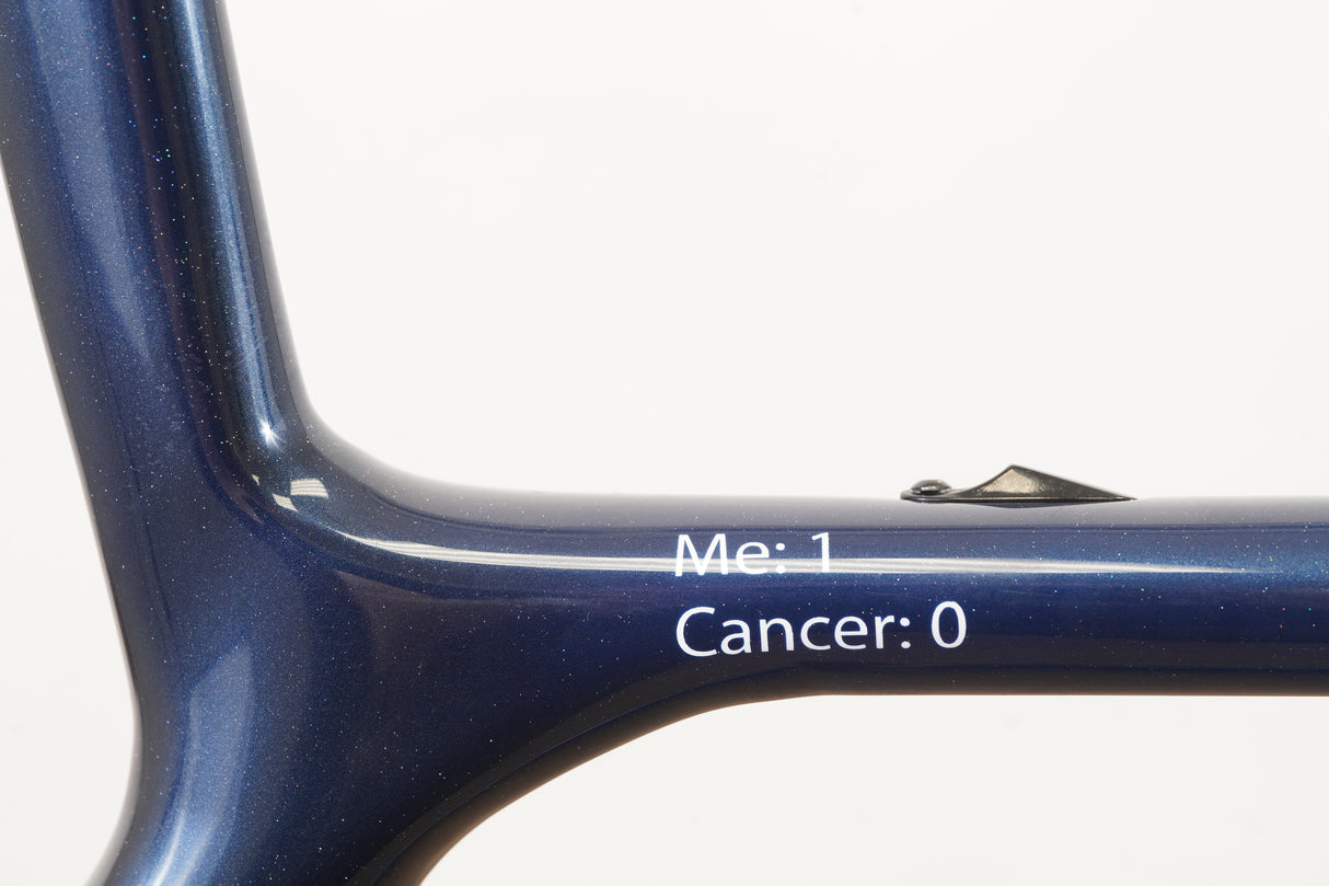 M/L Giant TCR Advanced SL ISP Carbon Rim Brake Road Frameset *Custom Paint*