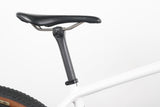 L (Large) Specialized Epic Pro ENVE SRAM AXS X01 Carbon Rigid Disc Mountain Bike MTB