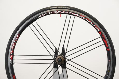 Campagnolo Shamal Ultra Alloy Clincher Rim Brake Wheelset Campagnolo 11 Speed