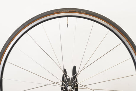 Campagnolo Neutron Alloy Clincher Rim Brake Wheelset Campagnolo 10 Speed