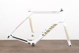 *Damaged* 2024 L (Large) Canyon Endurace CFR Di2 Carbon Disc Brake Road Frameset