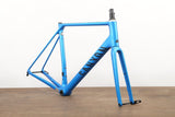 L (Large) Canyon Endurace CF SL Carbon Disc Brake Road Frameset