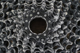 SRAM Force X01 eTap AXS D2 HRD 1x12 Speed Electronic Hydraulic Disc Groupset